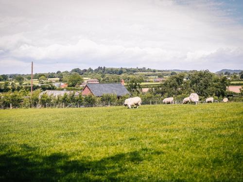 Malpas House | Carter's Lodge