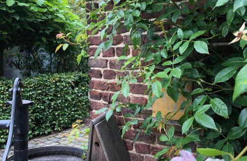 Vremde Bed & Breakfast | B&B Vennehoeve