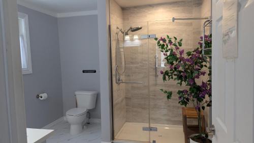 Gravenhurst Bed & Breakfast | Bear & Butterfly Bed and Breakfast