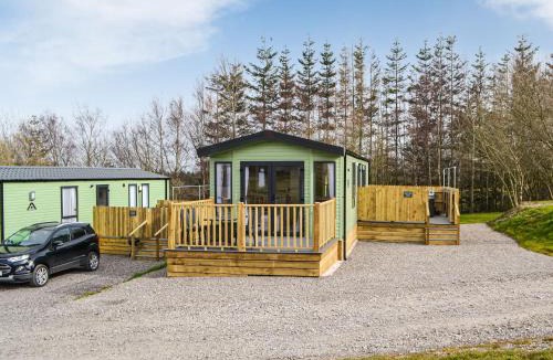 Westward House | Beech Tree