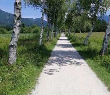Sankt Wolfgang im Salzkammergut Apartment | Ferienwohnung Eisl