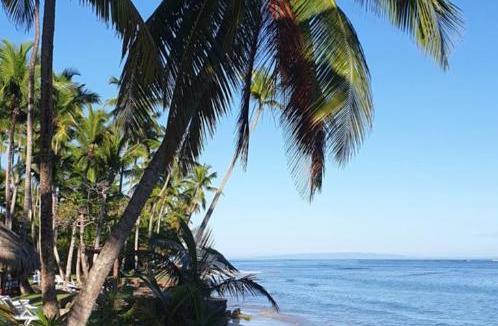 Las Terrenas Hotel | Hotel Atlantis