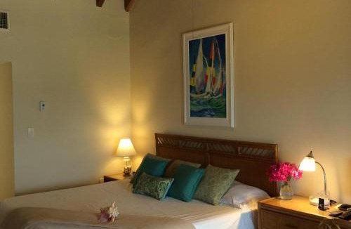 Red Hook Villa | Luxury Beachfront Duplex Villa on Sapphire Beach V