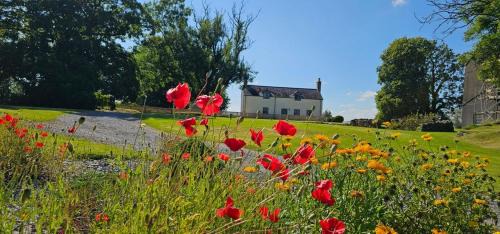 Llanybri House | Oysterlow - A beautiful country cottage with estuary views and enclosed garden