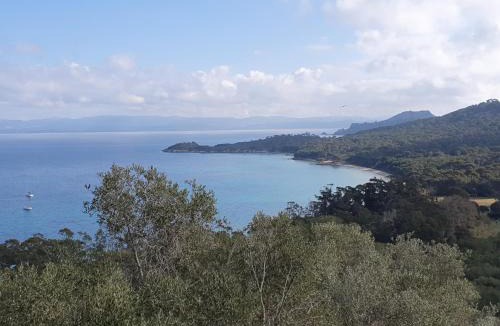 Porquerolles Boat Rental | Porquerolles - Nuit insolite à bord du Défi Fou