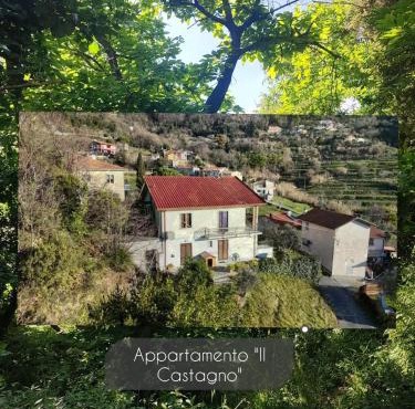 Appartamento Il Castagno
