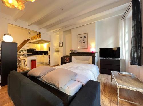 Appartement 6p au coeur des Carmes