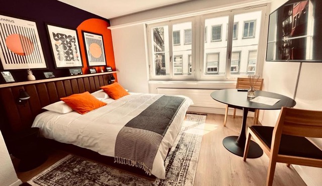 Cozy Studio Apartment Unit 11 in Center of Zurich