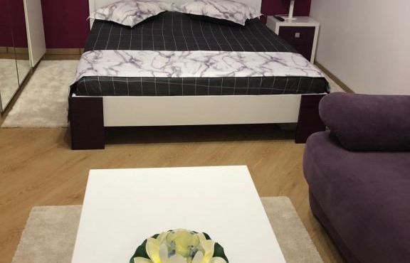 Cozy Studio RomExpo