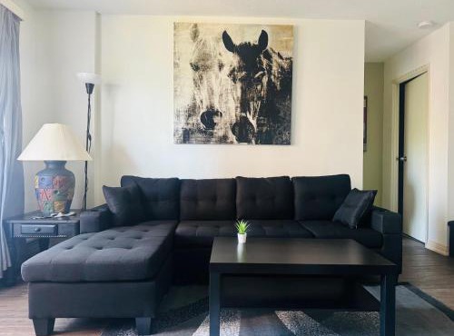Entire Apartment Prime Downtown location Free underground Parking