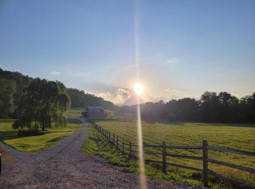 FireFly Acres