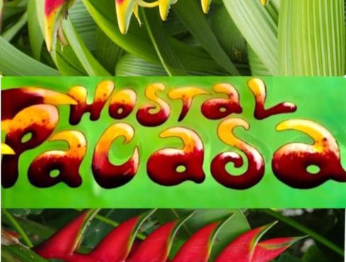 PaCasa Hostel