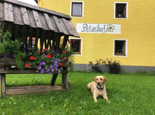 Peterhof – komm als Gast & geh als Freund