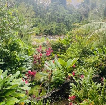Sloth Premium Riverfront Jungle Villa with Jacuzzi and Pool