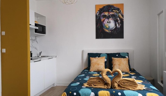 STUDIO COSY- CHALEUREUX- QUARTIER CALME- Wifi