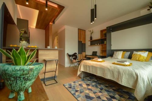 STUDIO K district (central BG+private parking)