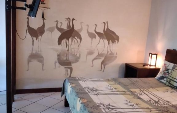 Studios in Caribe Campo