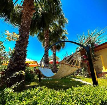 Three Palms Suites