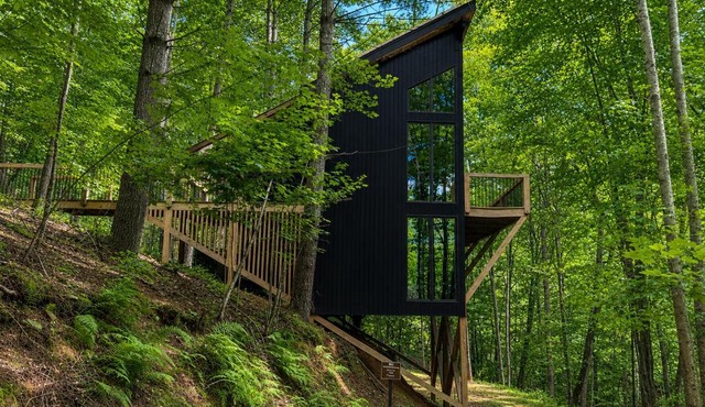 Treeangle Treehouse