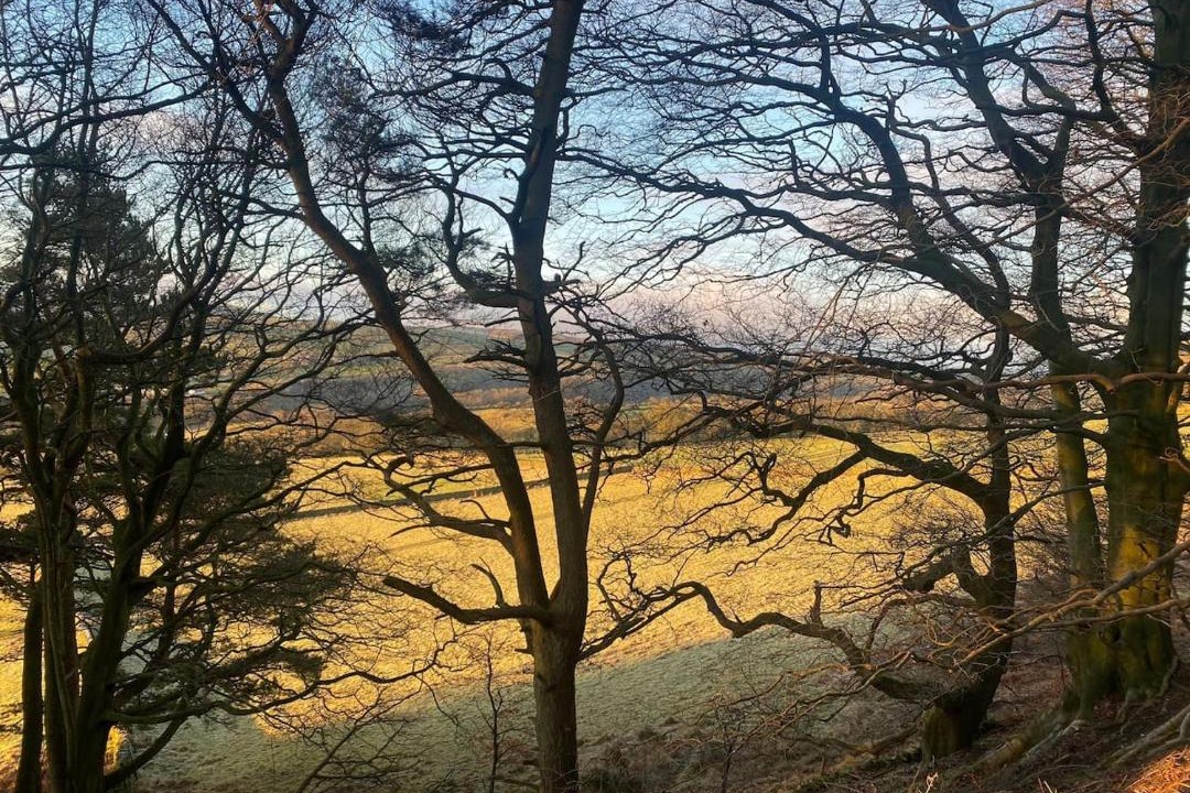 Photo of Others in Stoney Middleton