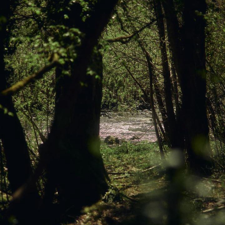 Photo of Others in Gassano