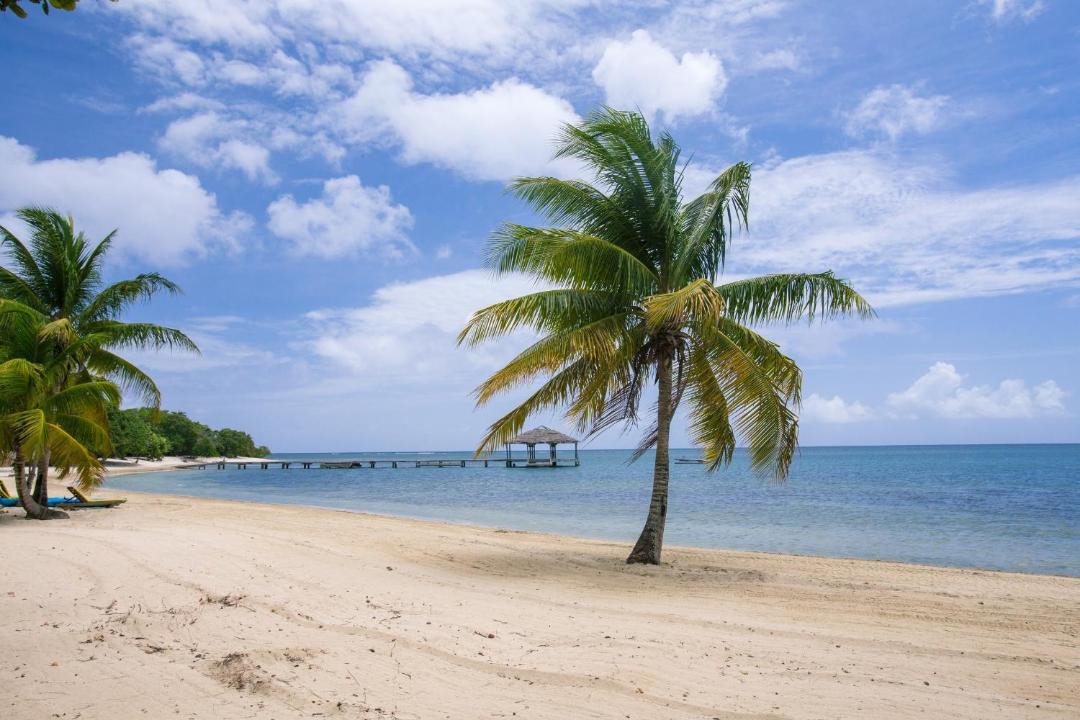 Photo of Others in Palmetto Bay