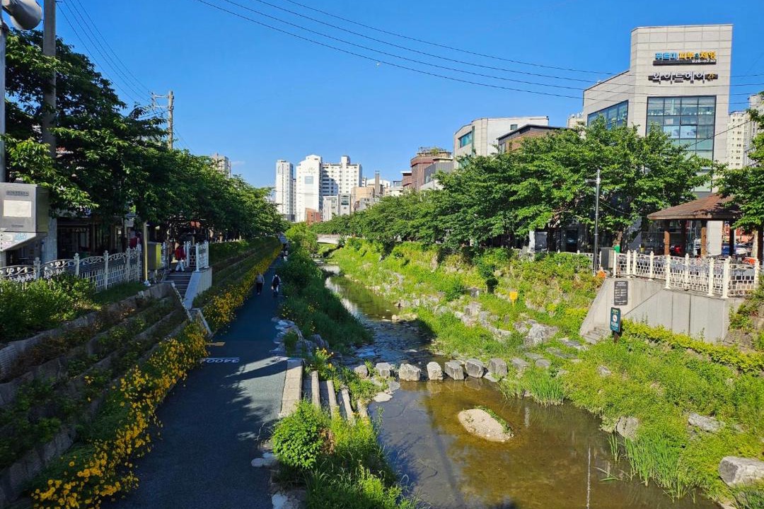 Photo of Others in Samseon-dong