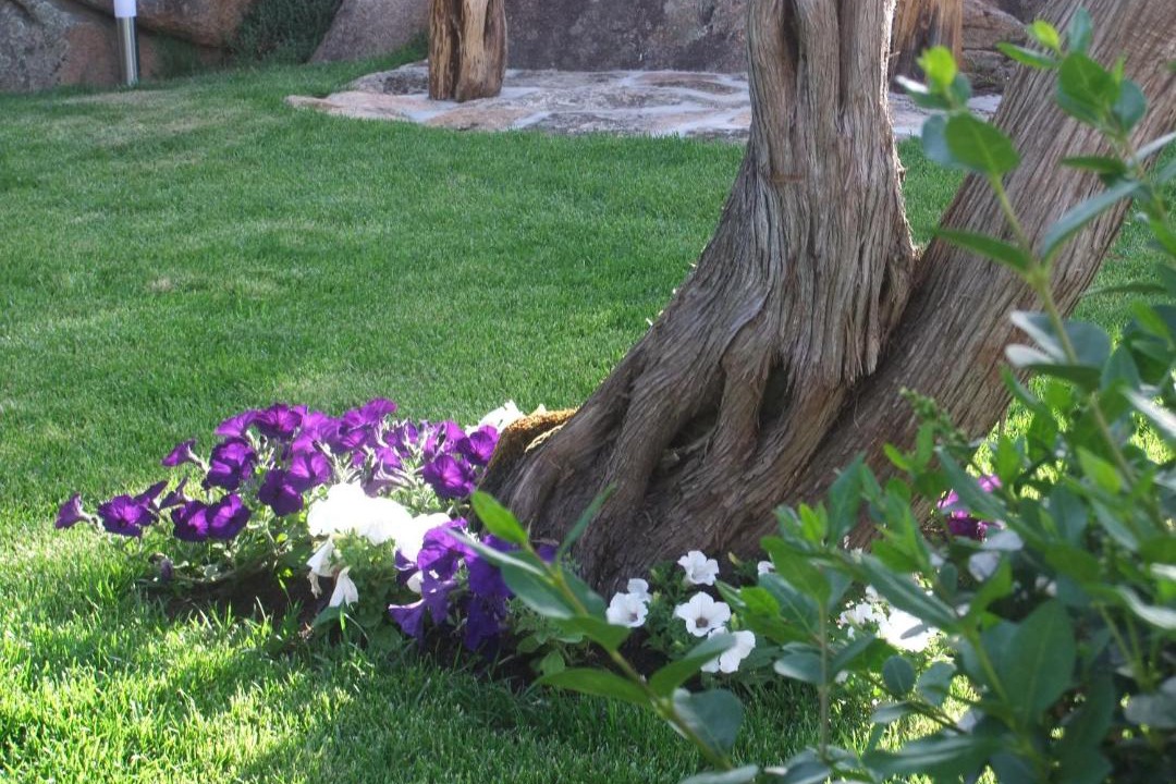 Photo of Others in Abbiadori