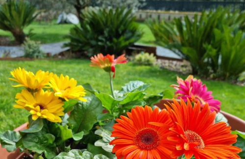 Aurelio Bed & Breakfast | Il Casale nel Parco Guesthouse